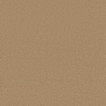 Winter Wheat