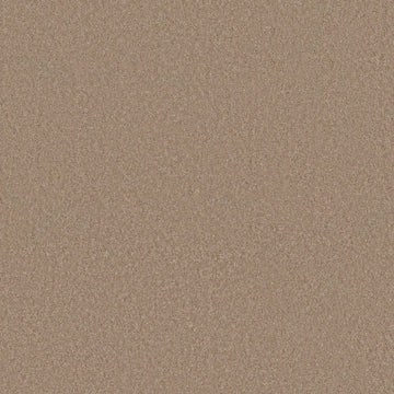 Warm Sand