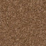 Enduring Charm in Autumn Glaze Carpet