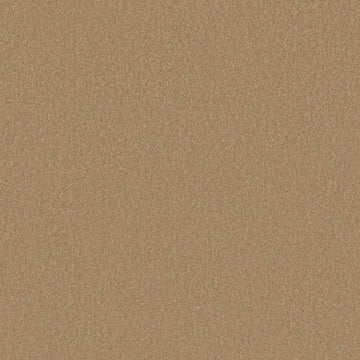 Winter Wheat