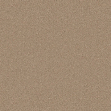 Warm Sand