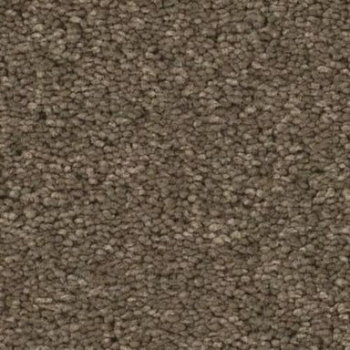 Elegant Beauty in Moonbeam Carpet