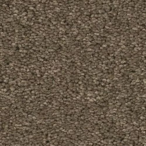 Elegant Beauty in Moonbeam Carpet