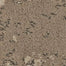 Fancy That in Rocky Road Carpet