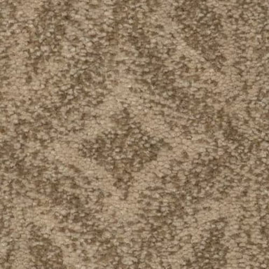 Enlightened in Windswept Carpet