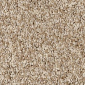 Beach Grass