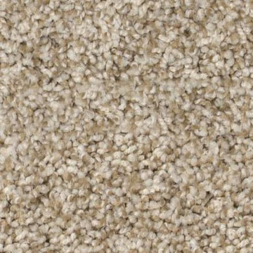 Beach Grass