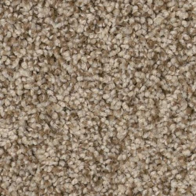 Via Nova in Nutshell Carpet