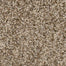 Via Nova in Nutshell Carpet