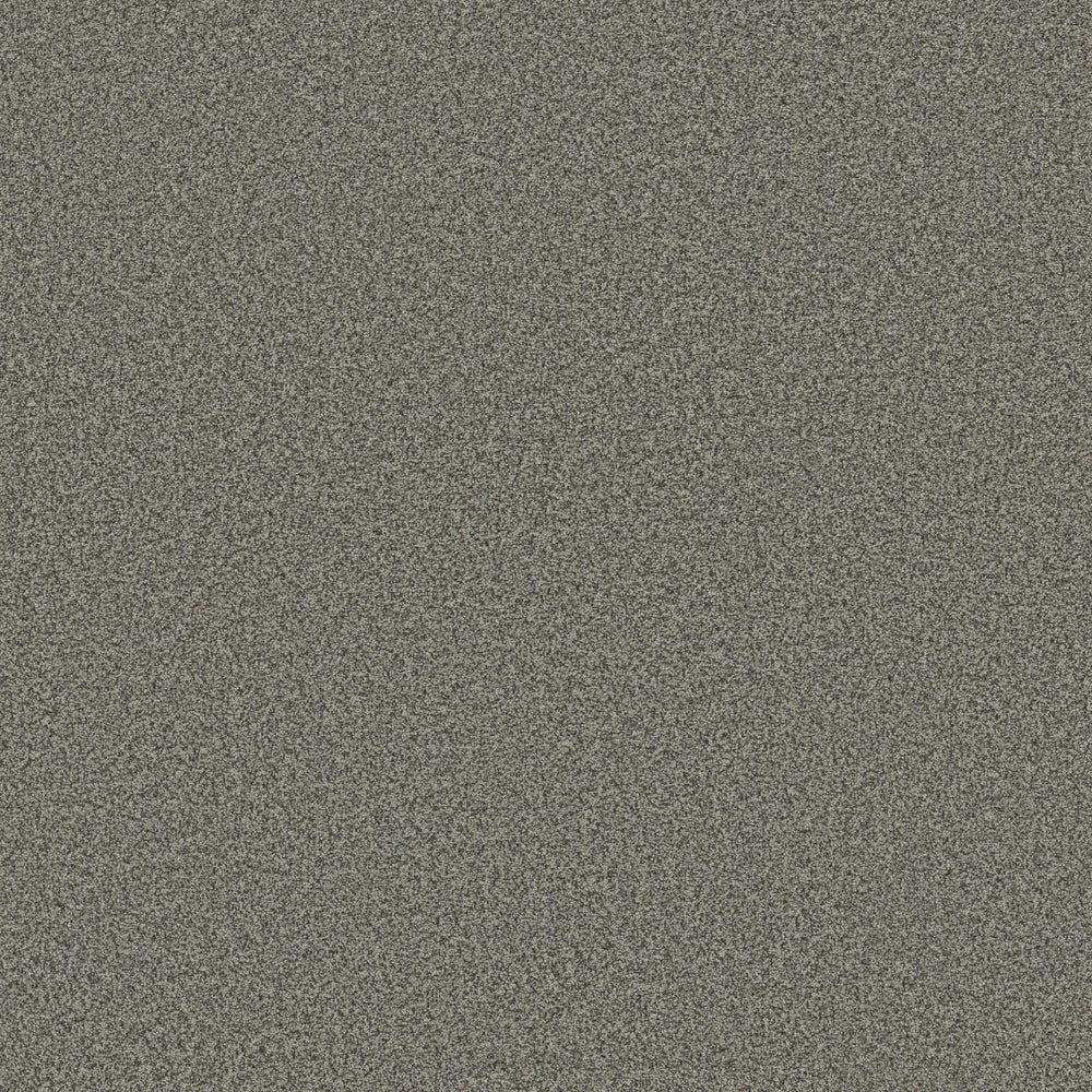 AVALON BAY in Asphalt Carpet