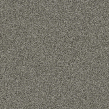 AVALON BAY in Asphalt Carpet