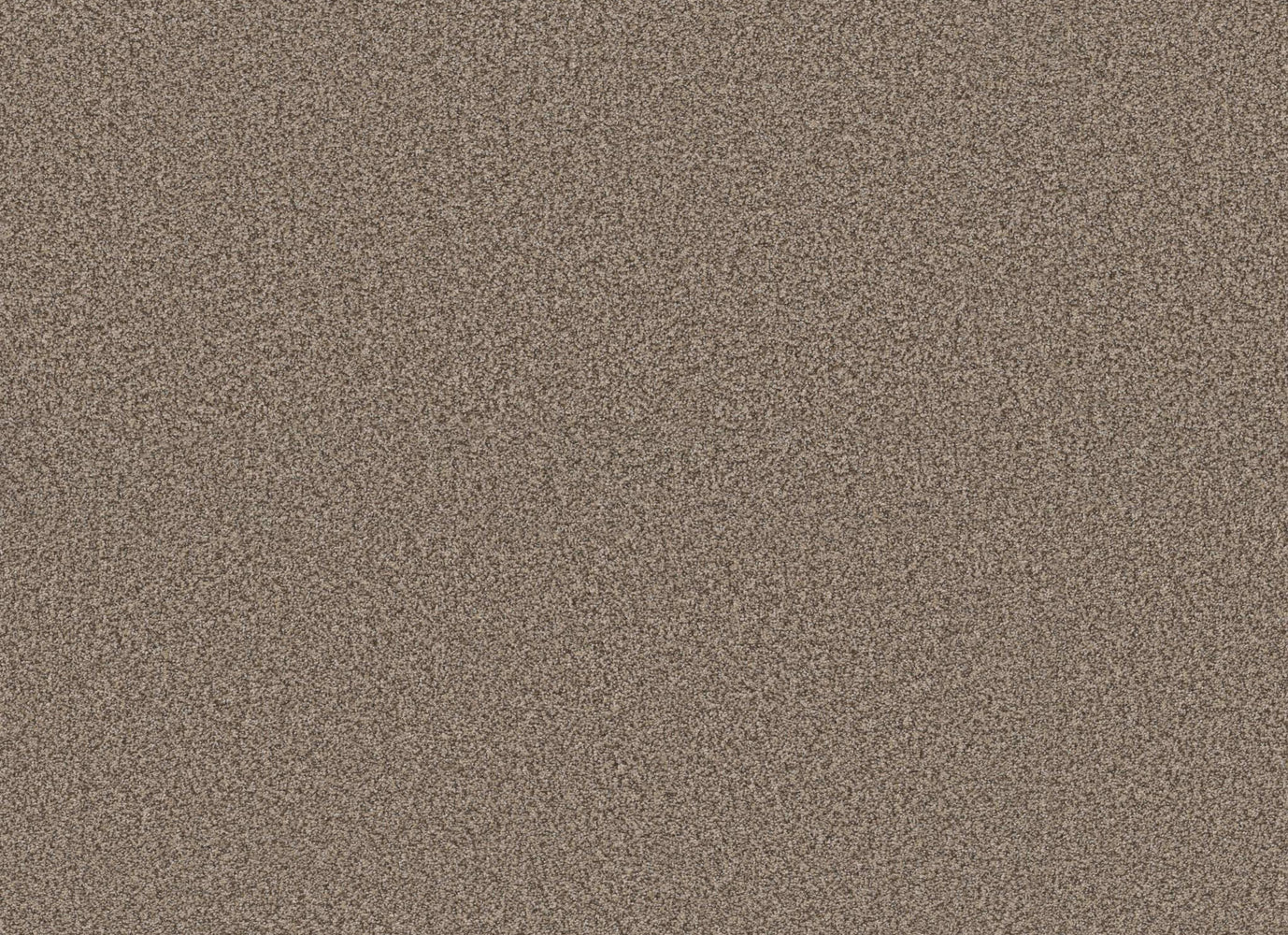 SOMERSET in Chic Taupe Carpet