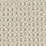 Arden Park in Froth Carpet
