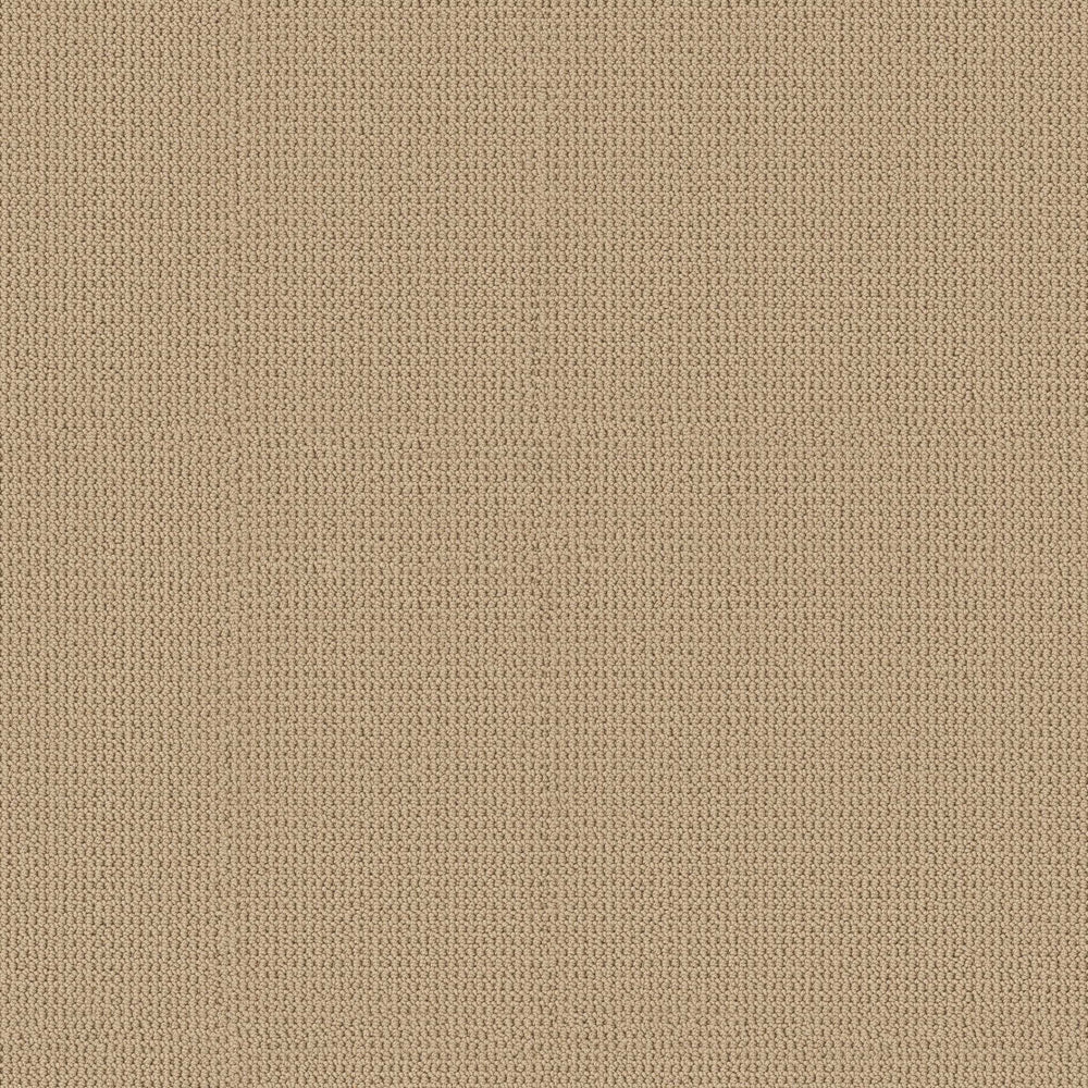 ARDEN PARK in Powdered Gold Carpet