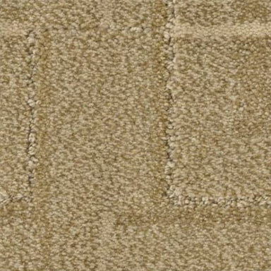 Path in Tatami Carpet