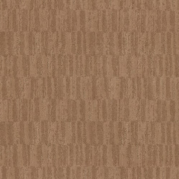 Terra Cotta