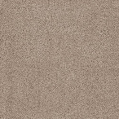 SUMPTUOUS I in Toasted Grain Carpet