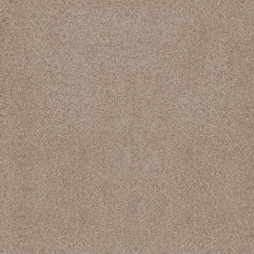 SUMPTUOUS I in Toasted Grain Carpet