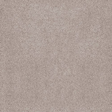 SUMPTUOUS II in First Star Carpet