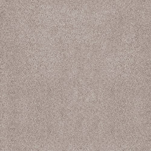 SUMPTUOUS II in First Star Carpet