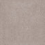 SUMPTUOUS II in First Star Carpet