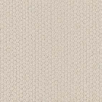Brushed Ivory X