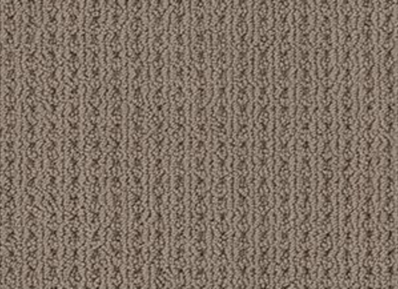 CORTEZ in Homestead Carpet