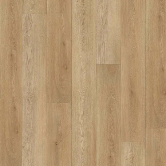 Authentic Prime in Glenhill Oak