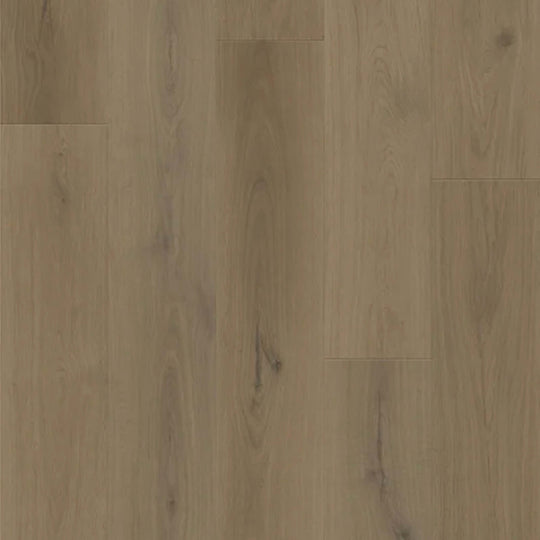 Boundless in Forest Oak