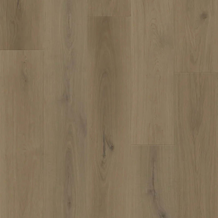 Boundless in Forest Oak Luxury Vinyl