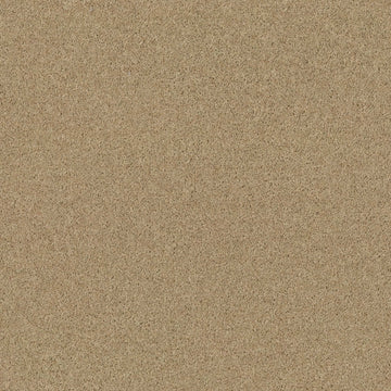 Wheat Straw