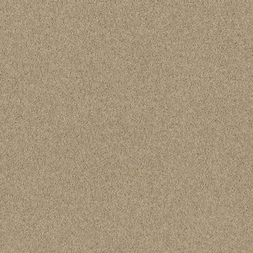 Baked Sand