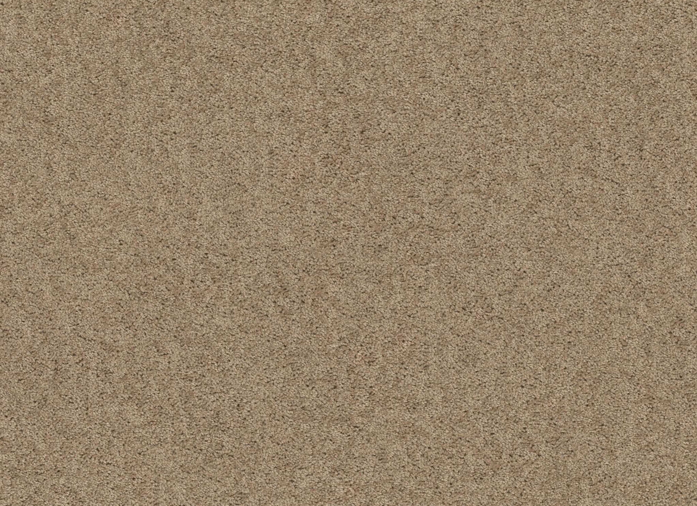 Bx001 in Toast Carpet