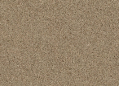 Bx001 in Toast Carpet