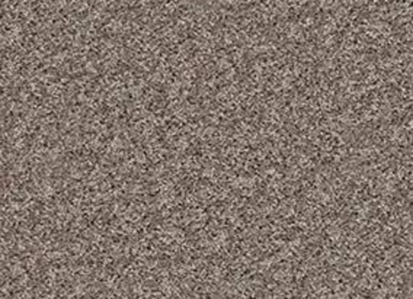 Bx100 in Trade Wind Carpet