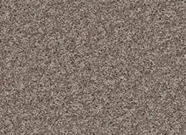 Bx100 in Trade Wind Carpet