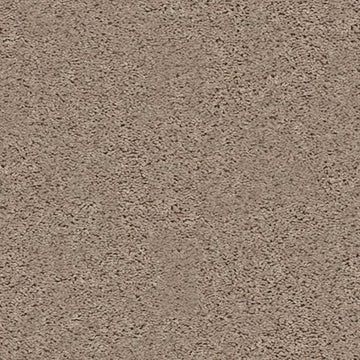 Pebble