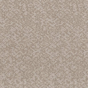 Baltic Stone