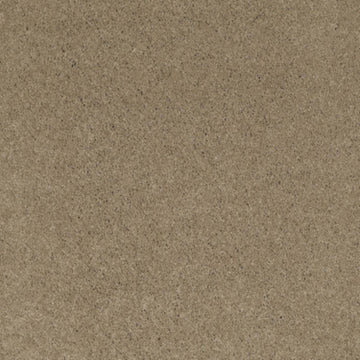 Llama
