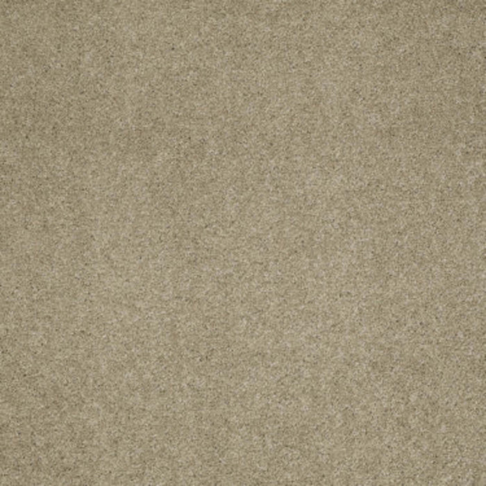 Cashmere I