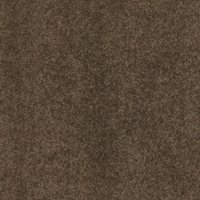 CASHMERE CLASSIC III