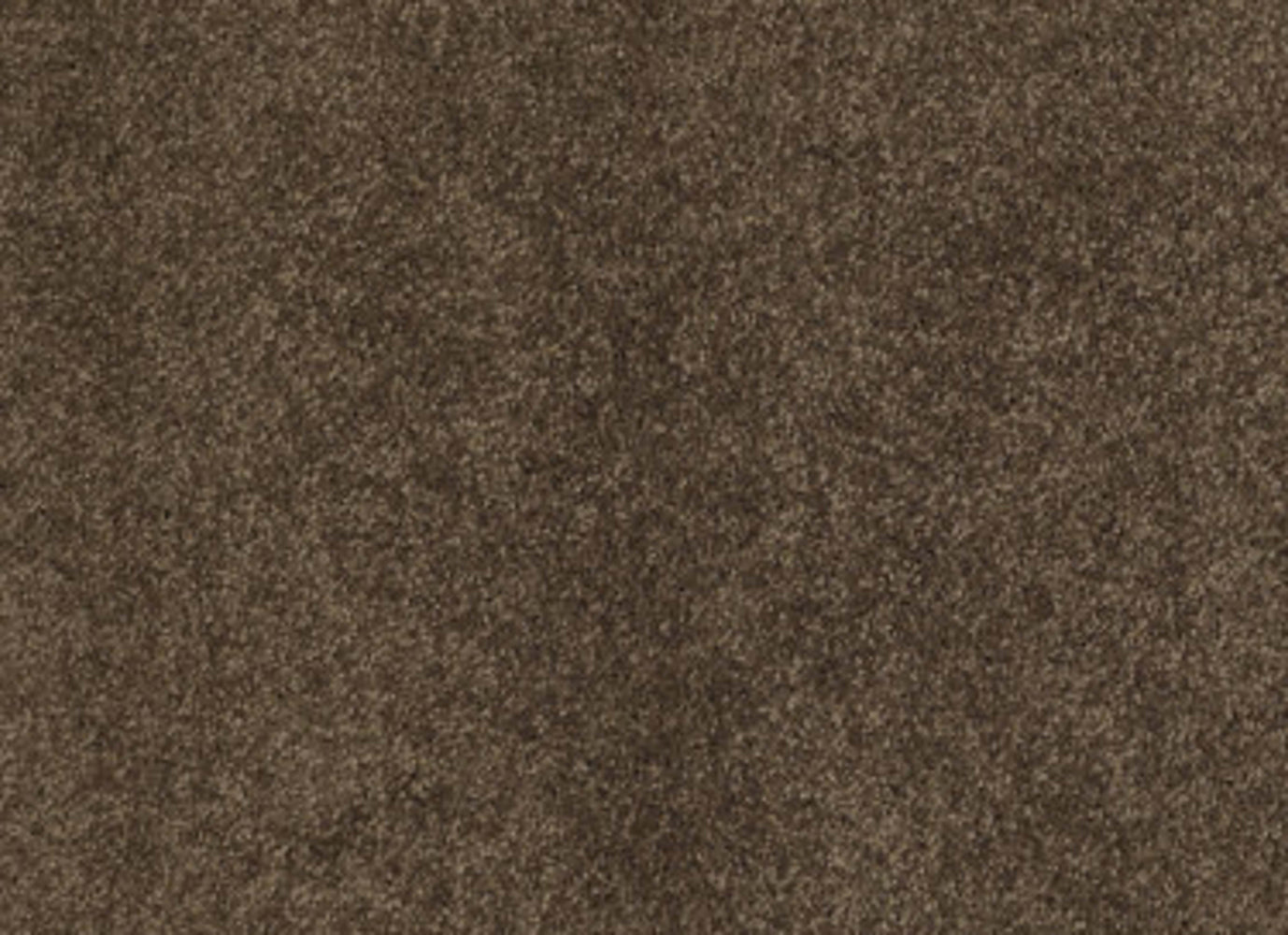 CASHMERE CLASSIC III in Bison Carpet