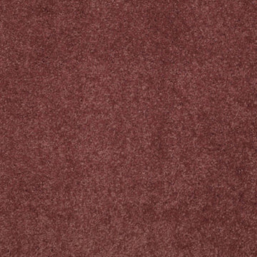 Cranberry