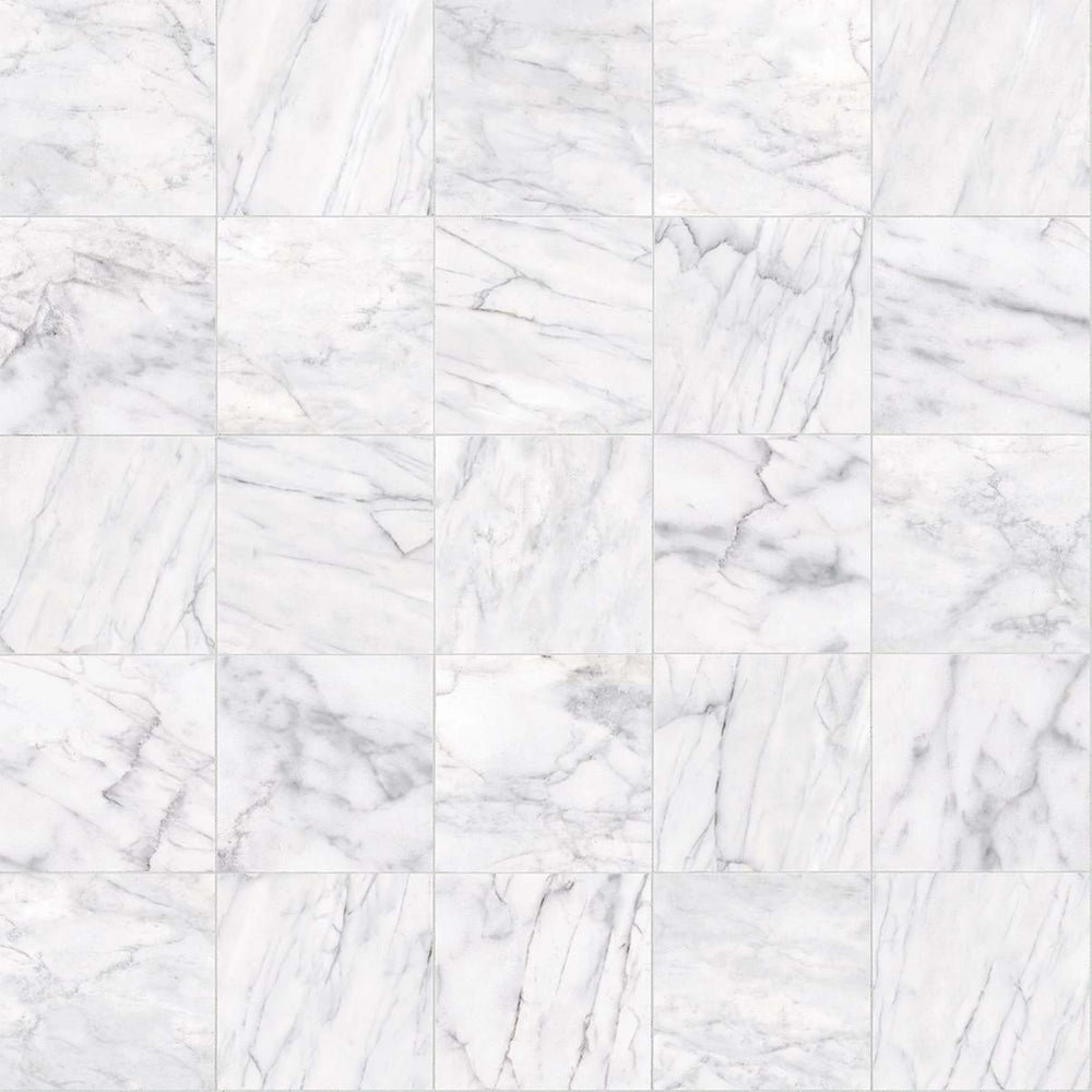 Maximus 12x12 in Carrara Tile