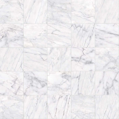 Maximus 12x12 in Carrara Tile