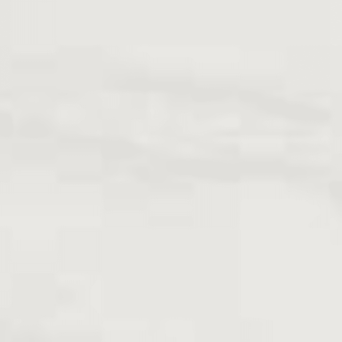 Maximus 3x6 Wall in Carrara Tile