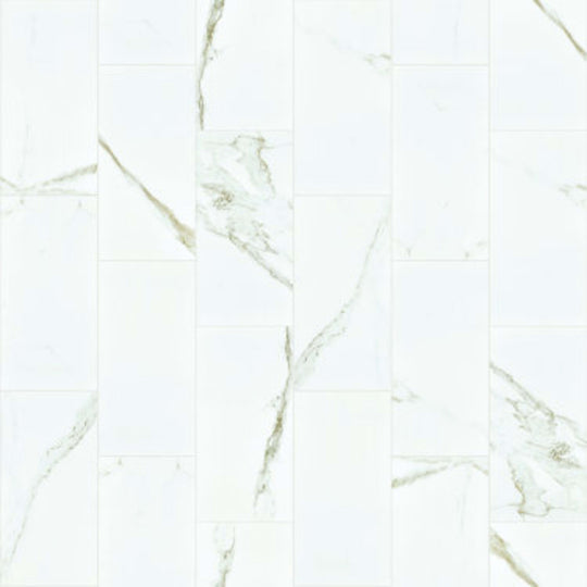 CASINO 12X24 POLISH in Calacatta