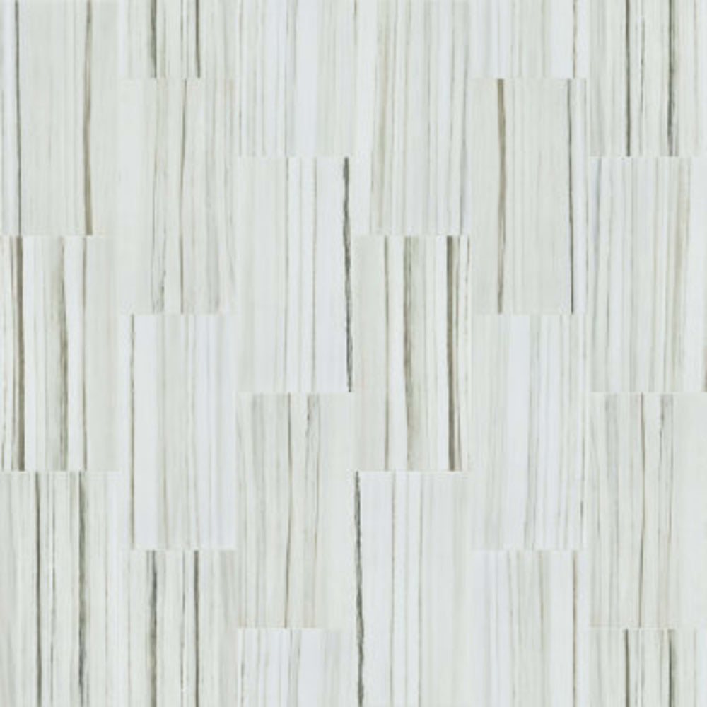 CASINO 12X24 POLISH in Zebrino Tile