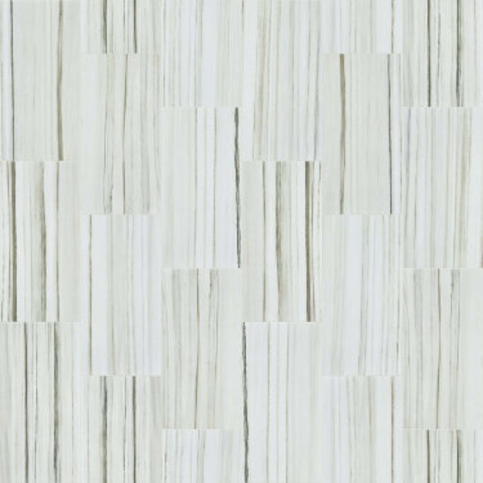 CASINO 12X24 POLISH in Zebrino Tile