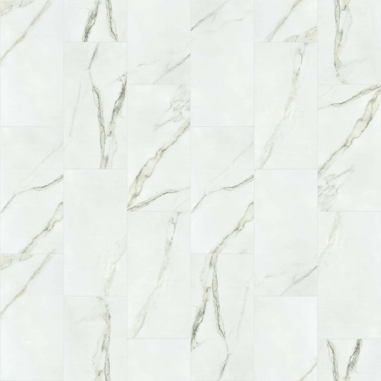 CASINO 12X24 MATTE in Calacatta